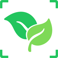 PlantFun Logo