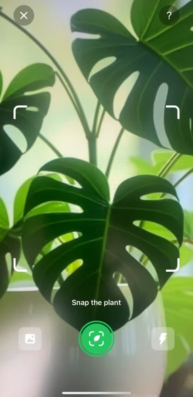PlantFun App Screenshot